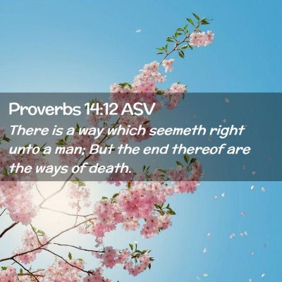Picture 02 - Proverbs 14:12 ASV - There is a way which seemeth right unto a man; - Bible Verse Picture