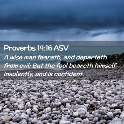 Picture 02 - Proverbs 14:16 ASV - A wise man feareth, and departeth from evil; But - Bible Verse Picture