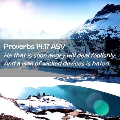 Picture 02 - Proverbs 14:17 ASV - He that is soon angry will deal foolishly; And a - Bible Verse Picture