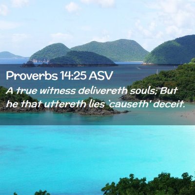 Picture 02 - Proverbs 14:25 ASV - A true witness delivereth souls; But he that - Bible Verse Picture