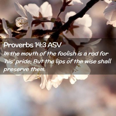 Picture 02 - Proverbs 14:3 ASV - In the mouth of the foolish is a rod for `his' - Bible Verse Picture