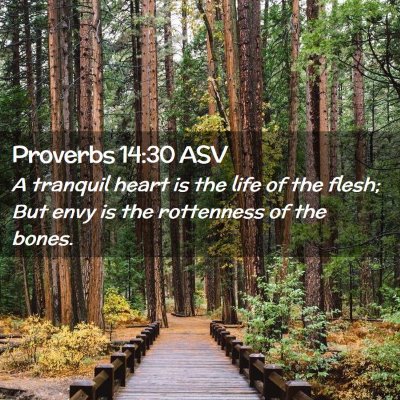 Picture 02 - Proverbs 14:30 ASV - A tranquil heart is the life of the flesh; But - Bible Verse Picture