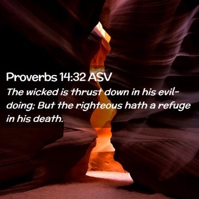 Picture 02 - Proverbs 14:32 ASV - The wicked is thrust down in his evil-doing; But - Bible Verse Picture