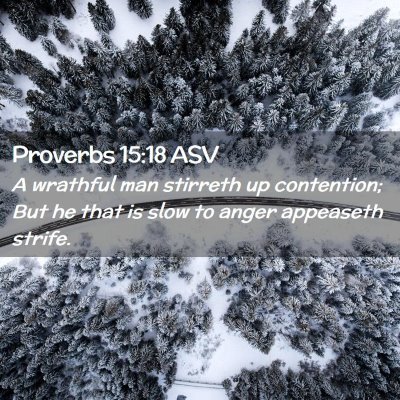 Picture 02 - Proverbs 15:18 ASV - A wrathful man stirreth up contention; But he - Bible Verse Picture