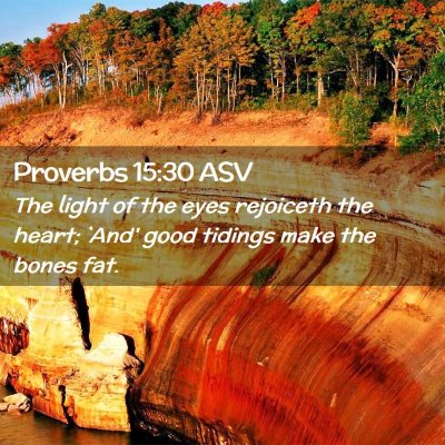Picture 02 - Proverbs 15:30 ASV - The light of the eyes rejoiceth the heart; `And' - Bible Verse Picture