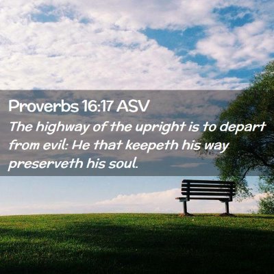 Picture 02 - Proverbs 16:17 ASV - The highway of the upright is to depart from - Bible Verse Picture