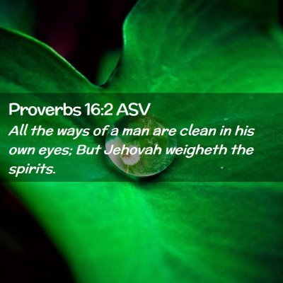 Picture 02 - Proverbs 16:2 ASV - All the ways of a man are clean in his own eyes; - Bible Verse Picture