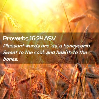 Picture 02 - Proverbs 16:24 ASV - Pleasant words are `as' a honeycomb, Sweet to the - Bible Verse Picture