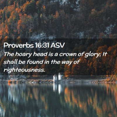 Picture 02 - Proverbs 16:31 ASV - The hoary head is a crown of glory; It shall be - Bible Verse Picture