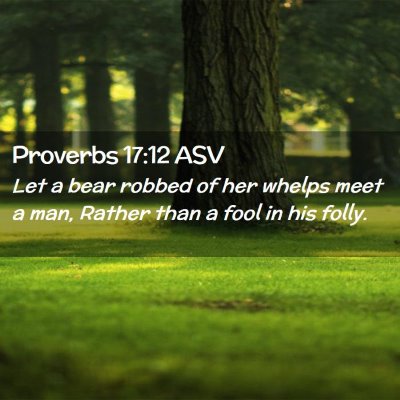 Picture 02 - Proverbs 17:12 ASV - Let a bear robbed of her whelps meet a man, - Bible Verse Picture