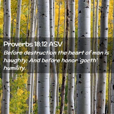 Picture 02 - Proverbs 18:12 ASV - Before destruction the heart of man is haughty; - Bible Verse Picture