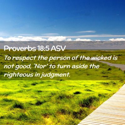 Picture 02 - Proverbs 18:5 ASV - To respect the person of the wicked is not good, - Bible Verse Picture