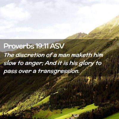 Picture 02 - Proverbs 19:11 ASV - The discretion of a man maketh him slow to anger; - Bible Verse Picture