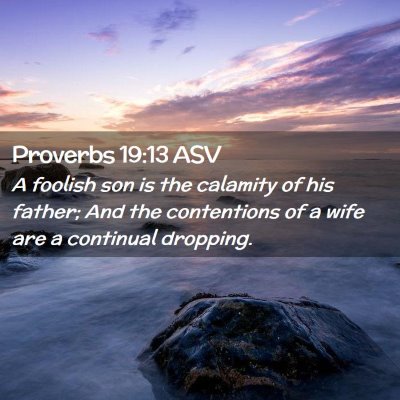 Picture 02 - Proverbs 19:13 ASV - A foolish son is the calamity of his father; And - Bible Verse Picture