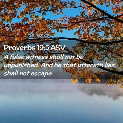 Picture 02 - Proverbs 19:5 ASV - A false witness shall not be unpunished; And he - Bible Verse Picture