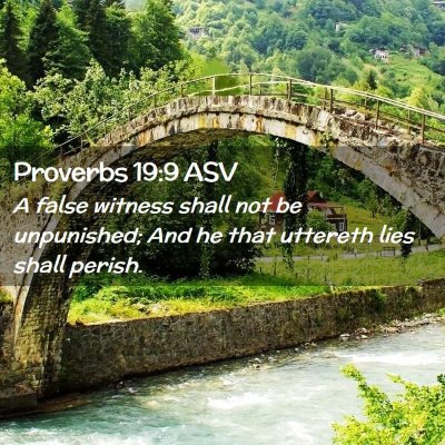 Picture 02 - Proverbs 19:9 ASV - A false witness shall not be unpunished; And he - Bible Verse Picture