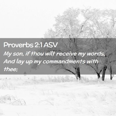 Picture 02 - Proverbs 2:1 ASV - My son, if thou wilt receive my words, And lay up - Bible Verse Picture