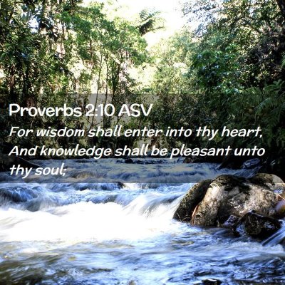 Picture 02 - Proverbs 2:10 ASV - For wisdom shall enter into thy heart, And - Bible Verse Picture