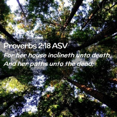 Picture 02 - Proverbs 2:18 ASV - For her house inclineth unto death, And her paths - Bible Verse Picture