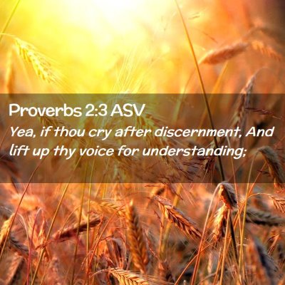 Picture 02 - Proverbs 2:3 ASV - Yea, if thou cry after discernment, And lift up - Bible Verse Picture
