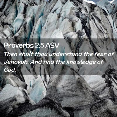 Picture 02 - Proverbs 2:5 ASV - Then shalt thou understand the fear of Jehovah, - Bible Verse Picture