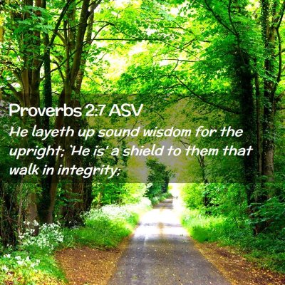 Picture 02 - Proverbs 2:7 ASV - He layeth up sound wisdom for the upright; `He - Bible Verse Picture