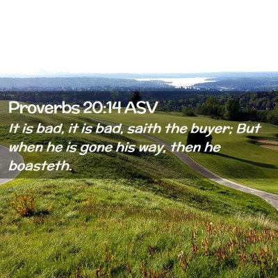 Picture 02 - Proverbs 20:14 ASV - It is bad, it is bad, saith the buyer; But when - Bible Verse Picture
