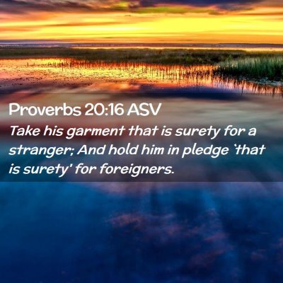 Picture 02 - Proverbs 20:16 ASV - Take his garment that is surety for a stranger; - Bible Verse Picture