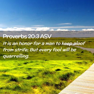 Picture 02 - Proverbs 20:3 ASV - It is an honor for a man to keep aloof from - Bible Verse Picture