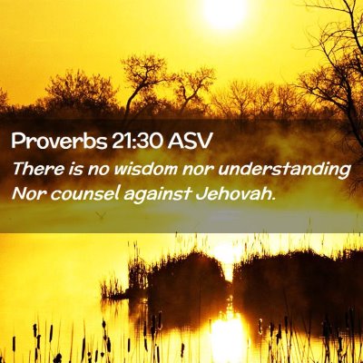 Picture 02 - Proverbs 21:30 ASV - There is no wisdom nor understanding Nor counsel - Bible Verse Picture