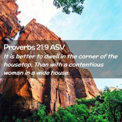 Picture 02 - Proverbs 21:9 ASV - It is better to dwell in the corner of the - Bible Verse Picture