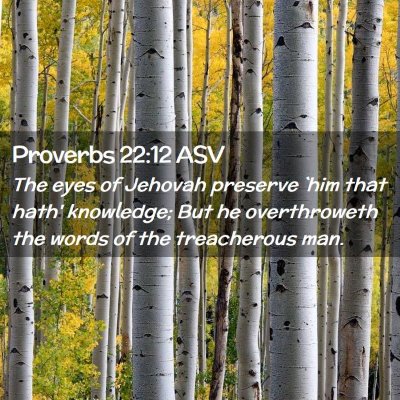 Picture 02 - Proverbs 22:12 ASV - The eyes of Jehovah preserve `him that hath' - Bible Verse Picture