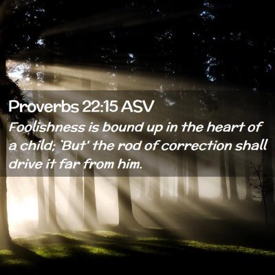 Picture 02 - Proverbs 22:15 ASV - Foolishness is bound up in the heart of a child; - Bible Verse Picture