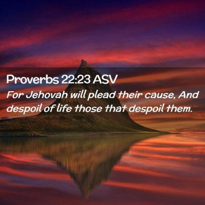 Picture 02 - Proverbs 22:23 ASV - For Jehovah will plead their cause, And despoil - Bible Verse Picture