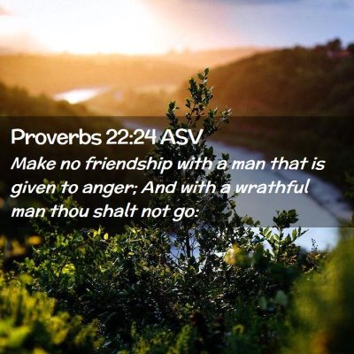 Picture 02 - Proverbs 22:24 ASV - Make no friendship with a man that is given to - Bible Verse Picture