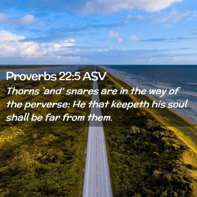 Picture 02 - Proverbs 22:5 ASV - Thorns `and' snares are in the way of the - Bible Verse Picture