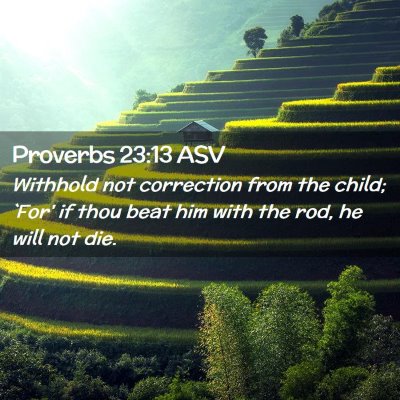 Picture 02 - Proverbs 23:13 ASV - Withhold not correction from the child; `For' if - Bible Verse Picture