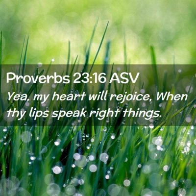 Picture 02 - Proverbs 23:16 ASV - Yea, my heart will rejoice, When thy lips speak - Bible Verse Picture