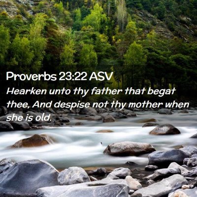 Picture 02 - Proverbs 23:22 ASV - Hearken unto thy father that begat thee, And - Bible Verse Picture