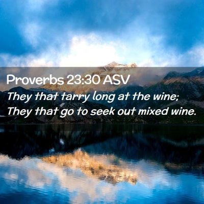 Picture 02 - Proverbs 23:30 ASV - They that tarry long at the wine; They that go to - Bible Verse Picture