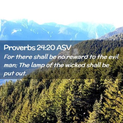 Picture 02 - Proverbs 24:20 ASV - For there shall be no reward to the evil man; The - Bible Verse Picture
