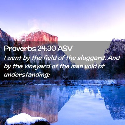 Picture 02 - Proverbs 24:30 ASV - I went by the field of the sluggard, And by the - Bible Verse Picture