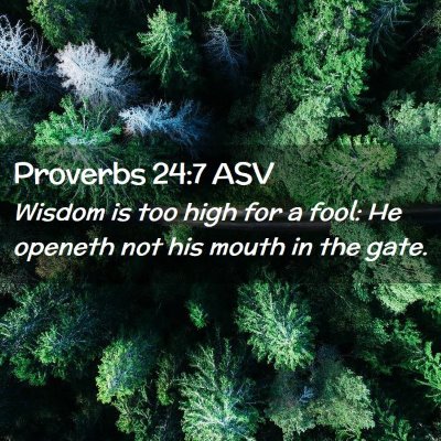 Picture 02 - Proverbs 24:7 ASV - Wisdom is too high for a fool: He openeth not his - Bible Verse Picture