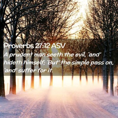 Picture 02 - Proverbs 27:12 ASV - A prudent man seeth the evil, `and' hideth - Bible Verse Picture