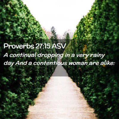 Picture 02 - Proverbs 27:15 ASV - A continual dropping in a very rainy day And a - Bible Verse Picture
