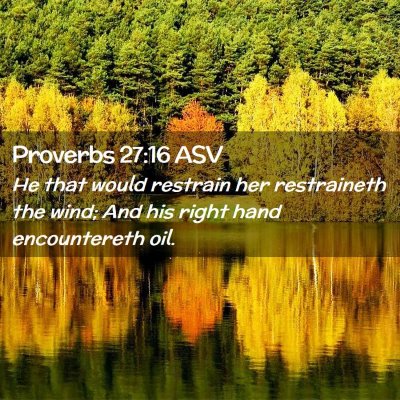 Picture 02 - Proverbs 27:16 ASV - He that would restrain her restraineth the wind; - Bible Verse Picture