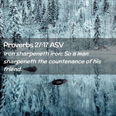 Picture 02 - Proverbs 27:17 ASV - Iron sharpeneth iron; So a man sharpeneth the - Bible Verse Picture