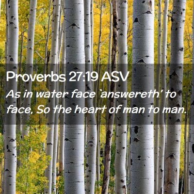 Picture 02 - Proverbs 27:19 ASV - As in water face `answereth' to face, So the - Bible Verse Picture