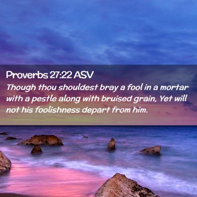 Picture 02 - Proverbs 27:22 ASV - Though thou shouldest bray a fool in a mortar - Bible Verse Picture