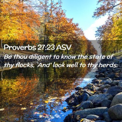 Picture 02 - Proverbs 27:23 ASV - Be thou diligent to know the state of thy flocks, - Bible Verse Picture